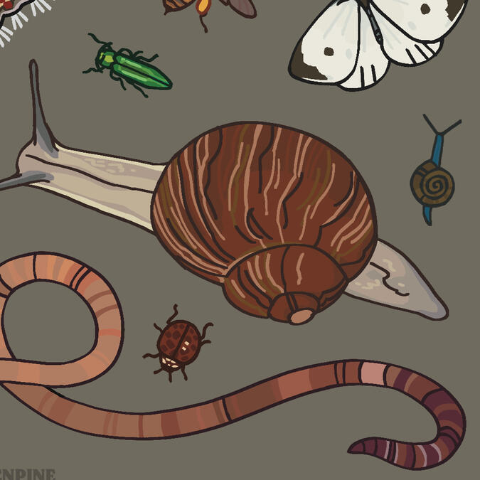 Critters